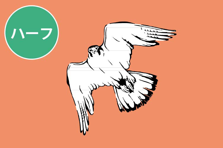 ｴﾗｽﾃｨｯｸ L  1/4　ﾌｧﾙｺﾝ　ﾊｰﾌ