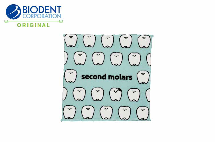 ﾊﾝﾄﾞﾀｵﾙ 2nd molars (ﾌﾞﾙｰ)